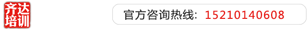 干大骚逼视频齐达艺考文化课-艺术生文化课,艺术类文化课,艺考生文化课logo